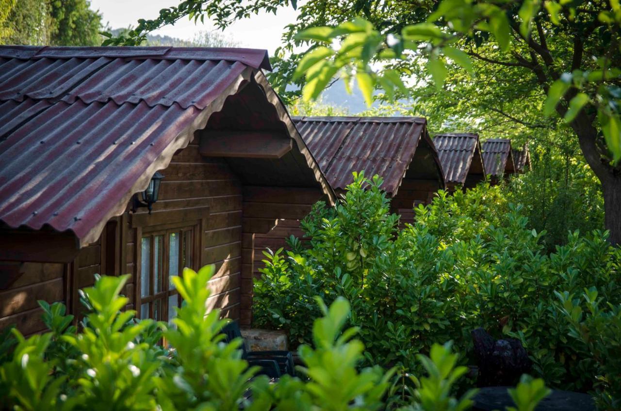 Fuente Del Lobo Glamping & Bungalows - Adults Only Pinos Genil Kültér fotó