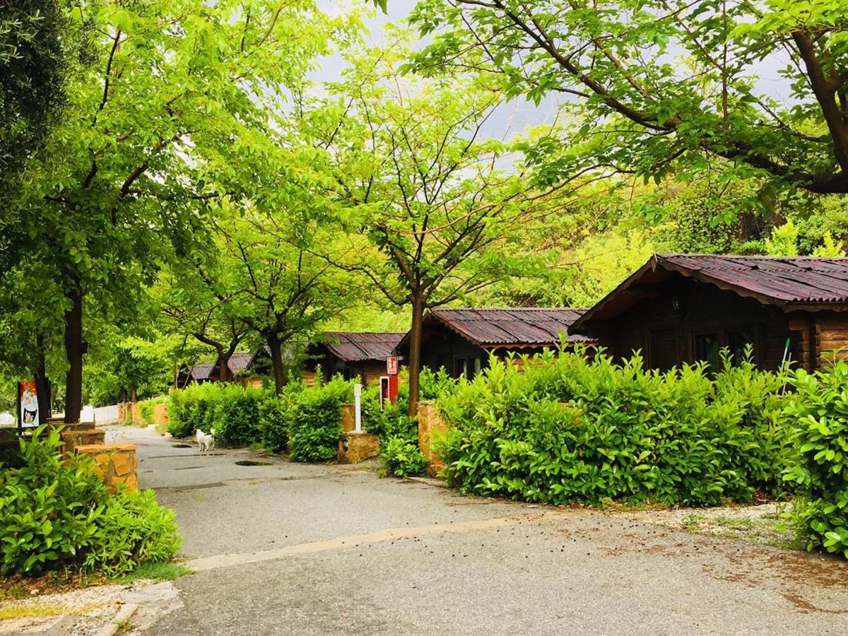 Fuente Del Lobo Glamping & Bungalows - Adults Only Pinos Genil Kültér fotó