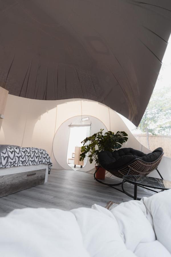 Fuente Del Lobo Glamping & Bungalows - Adults Only Pinos Genil Kültér fotó