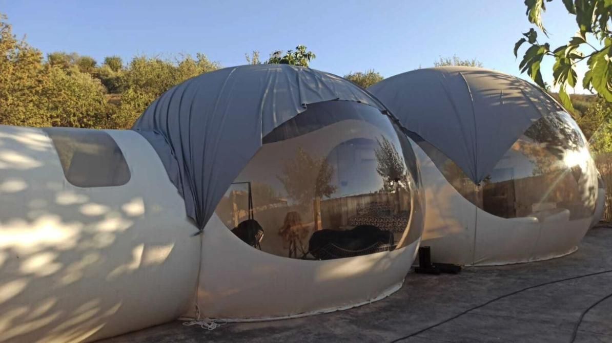 Fuente Del Lobo Glamping & Bungalows - Adults Only Pinos Genil Kültér fotó
